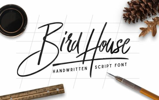 Bird-House-Script-Handwritten-Font-1.jpg