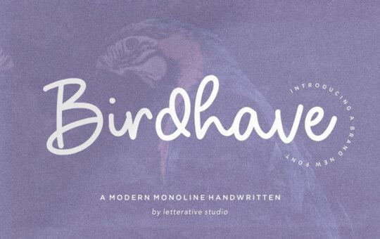 Birdhave-Font.jpg