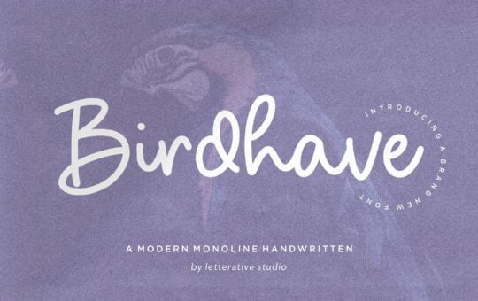 Birdhave-Modern-Monoline-Handwritten-Font-1.jpg