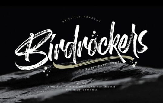 Birdrockers-Brush-Font.jpg