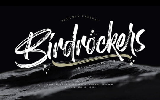 Birdrockers-Brush-Script-Font-1.jpg
