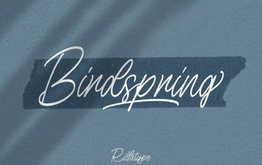 Birdspring-Handwritten-Signature-Font-1.jpg