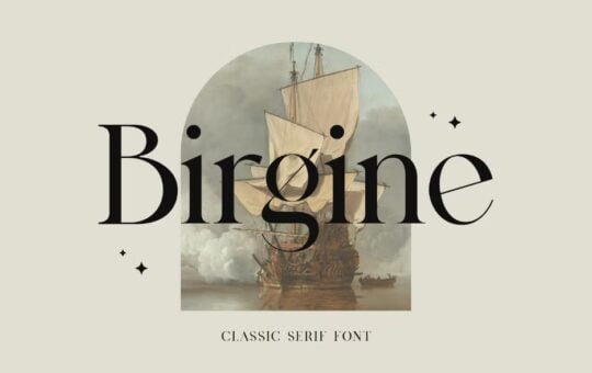 Birgine-Modern-Serif-Font-1.jpg