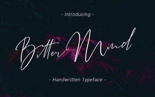 Bitter-Mind-Script-Font.jpg
