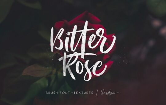Bitter-Rose-Brush-Font.jpg