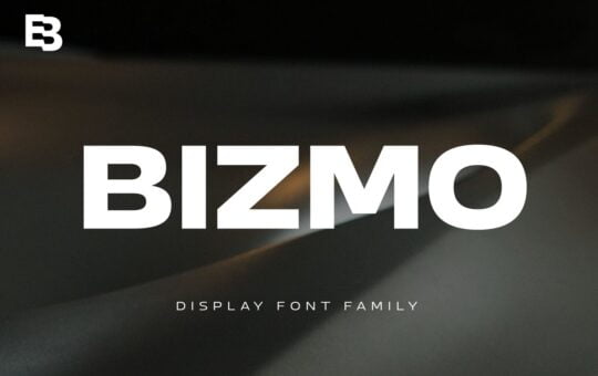 Bizmo-Display-Sans-Font-Family-1.jpg