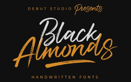 Black-Almonds-Brush-Font-1.jpg