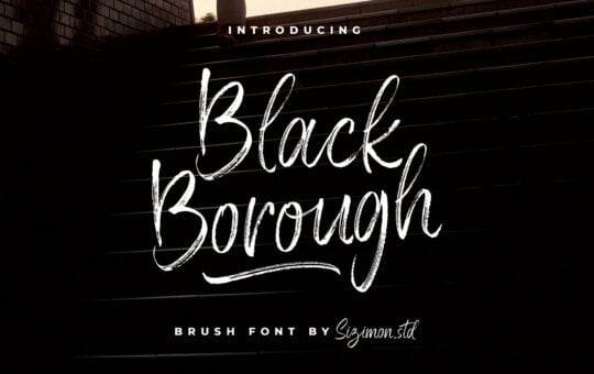 Black-Borough-Dry-Brush-Font.jpg