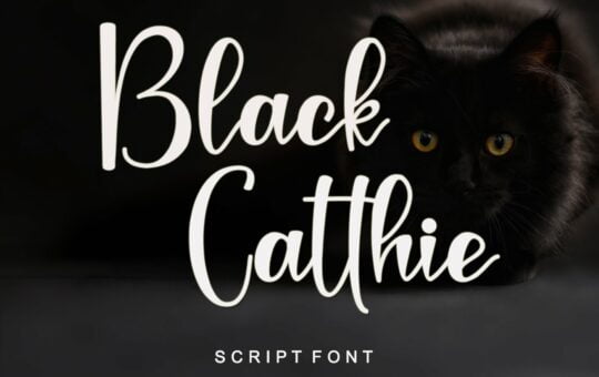 Black-Catthie-Font.jpg