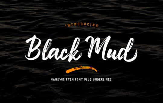 Black-Mud-Brush-Script-Font-1.jpg