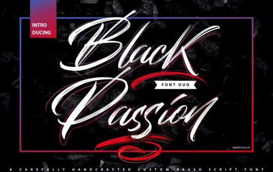 Black-Passion-Brush-Script-Font-1.jpg