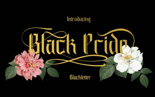 Black-Pride-Blackletter-Font-1.jpg
