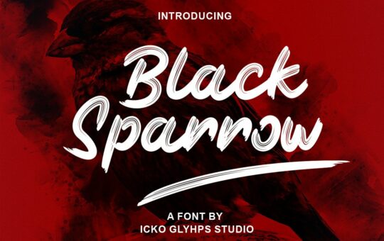 Black-Sparrow-Brush-Script-Font-1.jpg