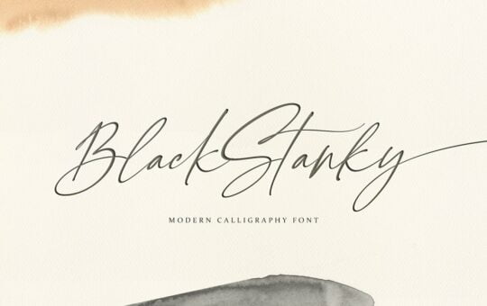 Black-Stanky-Calligraphy-Font-1.jpg