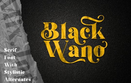 Black-Wano-Serif-Typeface.jpg