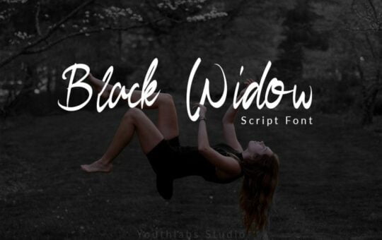 Black-Widow-Script-Font.jpg