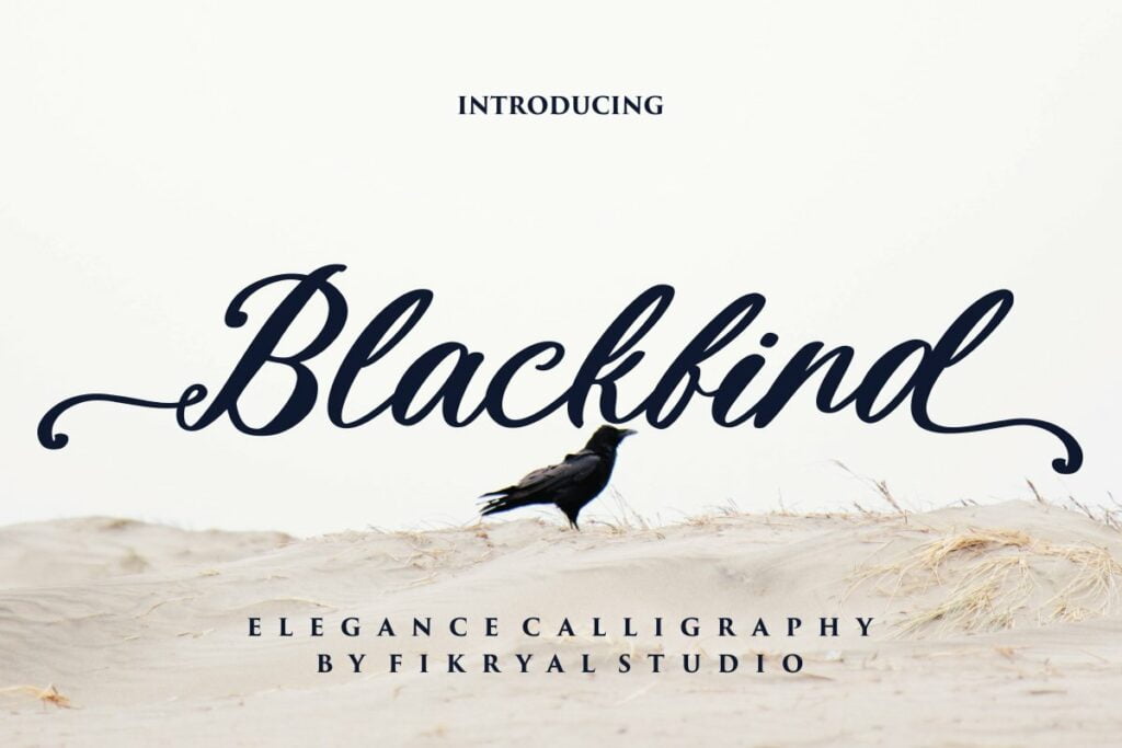 Blackbird-Calligraphy-Font-1.jpg
