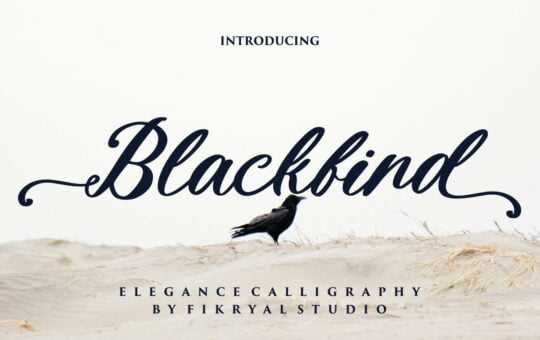 Blackbird-Calligraphy-Font-1.jpg
