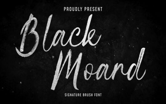 Blackmoard-Brush-Script-Font-1.jpg
