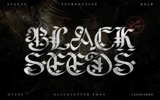 Blackseed-Blackletter-Font-1.jpg