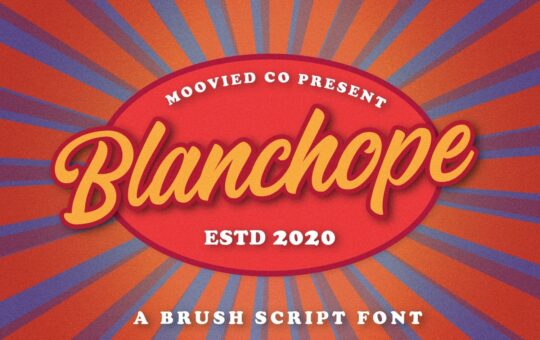 Blanchope-Script-Brush-Font-1.jpg