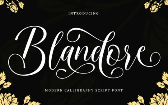 Blandore-Calligraphy-Font-1.jpg