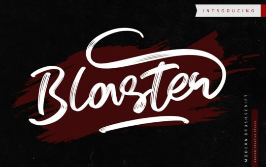 Blaster-Script-Handwritten-Font-1.jpg