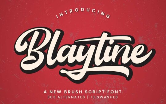 Blaytine-Bold-Script-Font-1.jpg