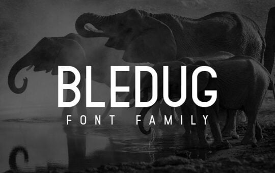 Bledug-Font-Family.jpg