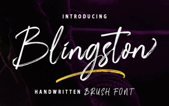 Blingston-Brush-Script-Font-1.jpg