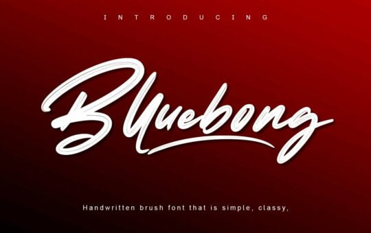 Blluebong-Brush-Font-1.jpg