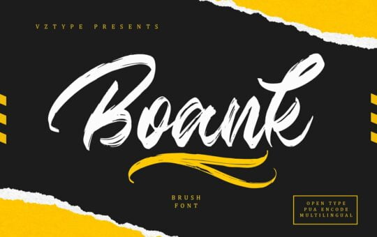 Boank-Script-Brush-Font-1.jpg