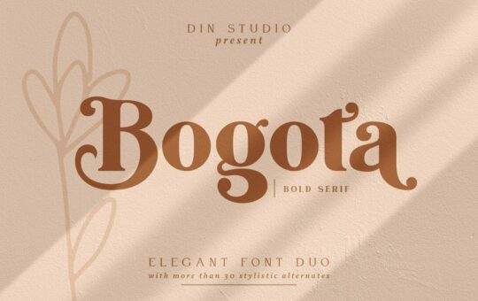 Bogota-Bold-Elegant-Serif-Font.jpg