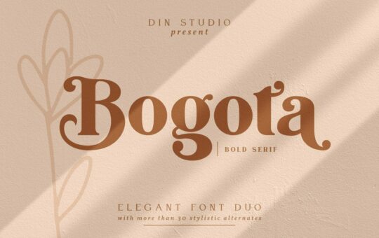 Bogota-Elegant-Bold-Serif-Font-1.jpg
