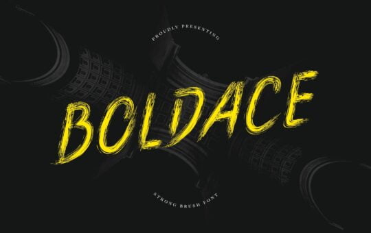 Boldace-Strong-Brush-Font-1.jpg