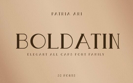 Boldatin-Font.jpg