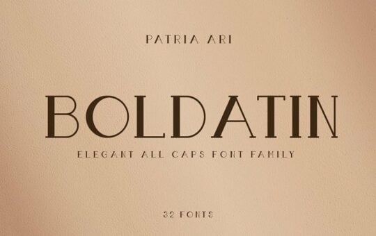 Boldatin-Slab-Serif-Font-1.jpg