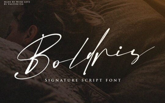 Boldris-Signature-Script-Font-1.jpg