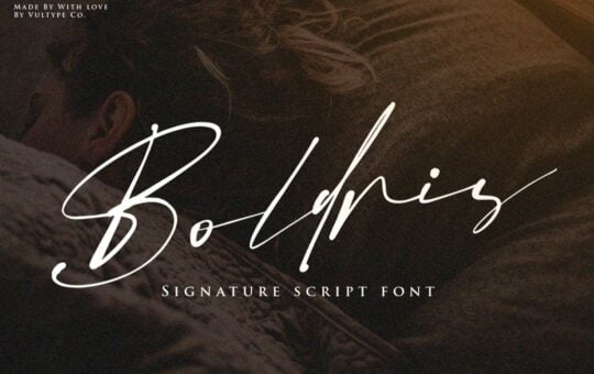 Boldris-Signature-Script-Font.jpg