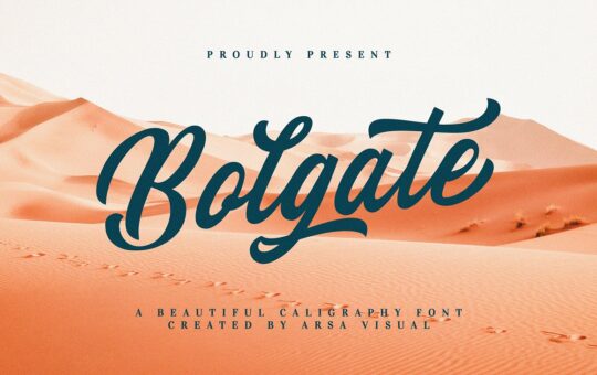 Bolgate-Calligraphy-Font-1.jpg