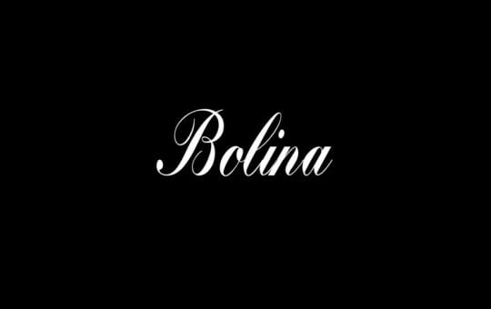 Bolina-Calligraphy-Script-Font.jpg