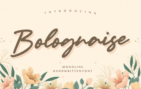 Bolognaise-Handwritten-Font-1.jpg