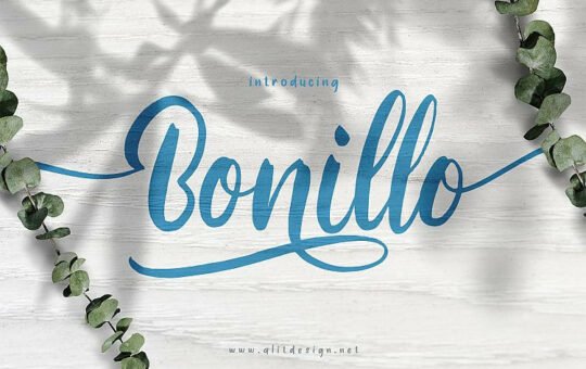 Bonillo-Script-Font.jpg