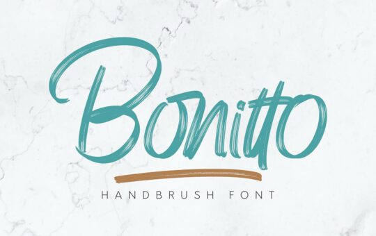 Bonitto-Brush-Script-Font-1.jpg