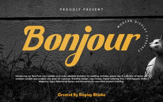 Bonjour-Font.jpg
