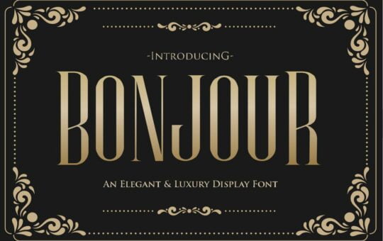 Bonjour-Sans-Serif-Font-1.jpg