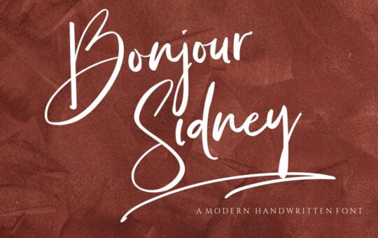 Bonjour-Sidney-Handwritten-Font-1.jpg