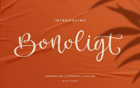 Bonoligt-Font.jpg