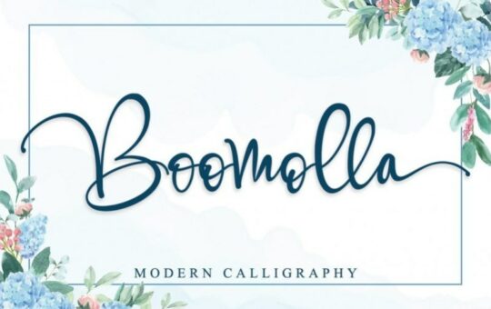 Boomolla-Calligraphy-Font-1.jpg