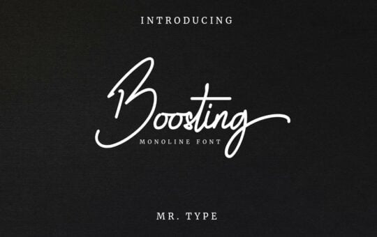 Boosting-Font.jpg
